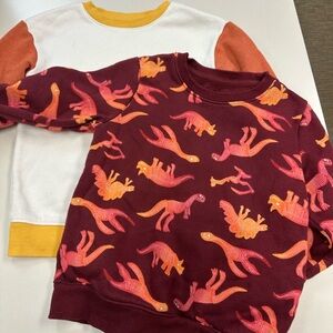 Lot of 2 - Dinosaur Print Sweatshirts - Red and White